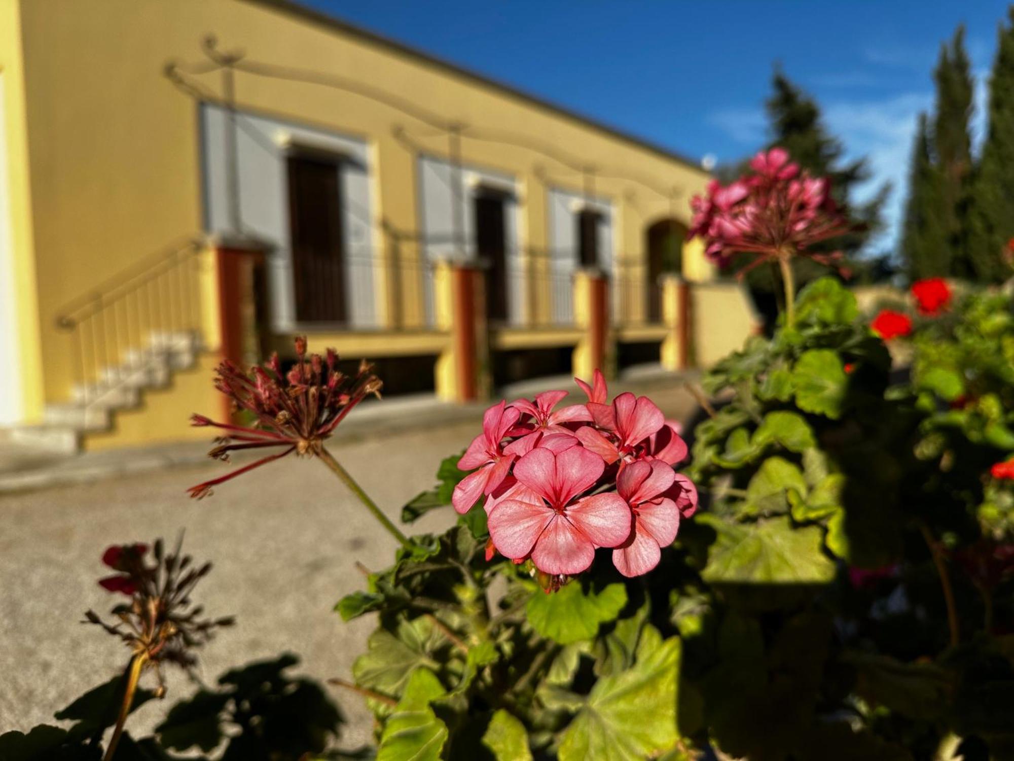 Agriturismo Il Trappeto Галлиполи Экстерьер фото
